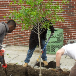 Volunteer With Us